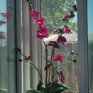 Meet your Posher, Tania